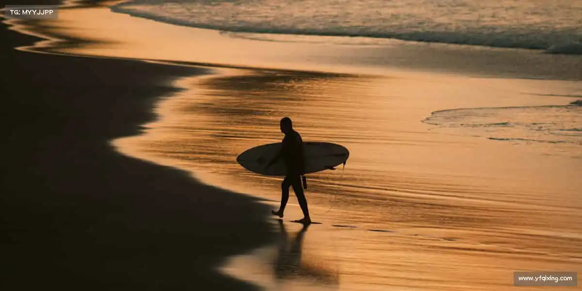 行业领先的理由